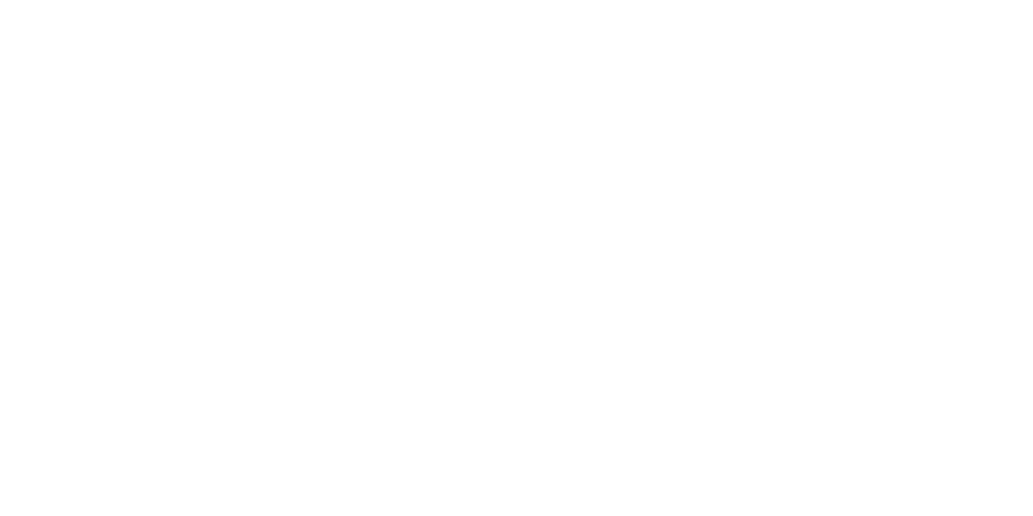 SNIS Logo