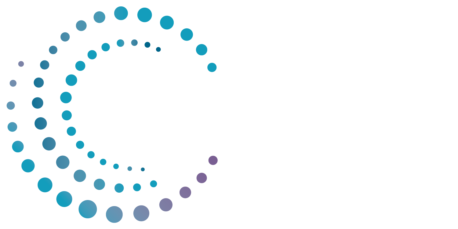 SNIS Logo